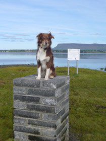 Aussie goes to Ireland