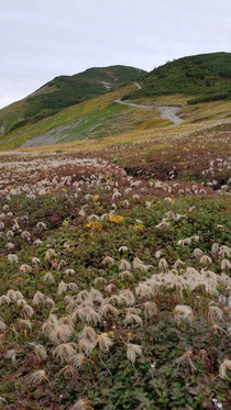 白馬大池山荘より
