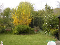 Frühling