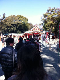 こんなに並ぶのは年1回