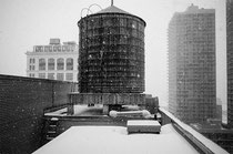 photo by Ron Nicolaysen
