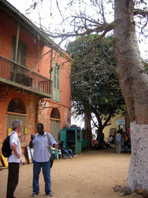 Vuestro Guia Mamadou