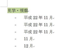 行頭にTabを入れて入力します