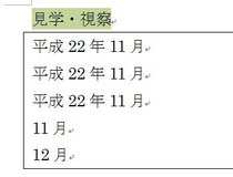 貼り付けます。
