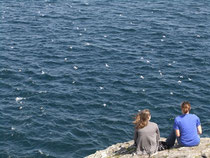 Carrick-a-Rede Rope Bridge