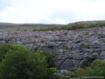 Aillweel Cave