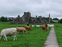 Hore Abbey