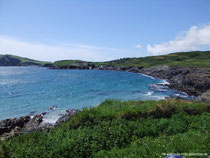 Sandy Cove Beach