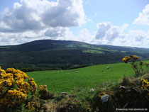 Wicklow Mountains