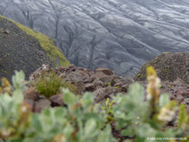 Skaftafellsjökull