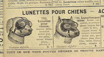 Katalogblatt 1913, Staubbrillen für Hunde