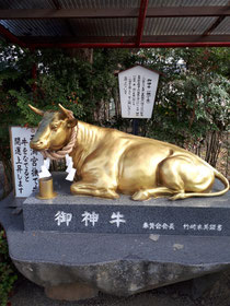 このご利益が凄そうな黄金牛は、米ノ津天満宮にいらっしゃいます。ここは篤姫が江戸に上がる時に参拝された神社なのです。年女ということもあり触らせてもらいました。皆様にとっても良い一年となりますように。