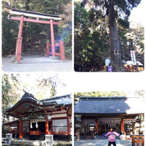 今日は地元の神社と合わせ三社参りしました。宮崎県の東霧島神社と狭野神社です。ご祈祷聞けたり、境内の巨木のパワーに感動でした。付き合ってくれる家族に感謝ですね！