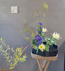 寒がり冷え性に辛い季節になりつつあります。少し前まで酷暑でなのか更年期でなのか汗をよくかいた夏だったのに。。11月は毎週日曜日と3、10、17日が定休日です　アミノ酸の講習に行って新たな知識を得たいです。皆さまお体ご自愛くださいね。