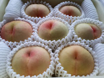 岡山の先輩から今年も頂いた白桃🍑🍑いつ食べよかな～😋こんな付き合いが続くことが嬉しいです。