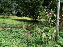 Hildegard Kitas Garten