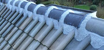 Ook verstevigen wij uw dak door het aanbrengen van flexim dakmortel. Dit wordt aangebracht onder de nok van het dak en diende vroeger als cement. echter brokkelt dit 'cement' vaak af. Het is daarom niet onverstandig om dit te laten vervangen.
