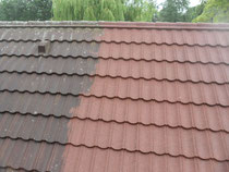 Door het laten reinigen van uw dak ziet uw dak er niet alleen beter uit, ook verwijderd u op die manier eventuele schimmels. 