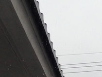 雨樋