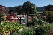 Regionale Produkte vom Hanauerhof