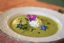 Kräutersuppe für ausgewogene Ernährung