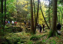 Wandern im Waldnaabtal