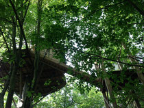 Cabane dans les arbres - Baie de Somme - Château des tilleuls - Port le Grand - Abbeville - Picardie - séjour insolite - week end atypique