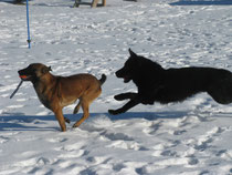 Aaron und Tex