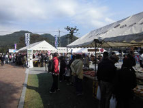 両日とも多くの来場者でにぎわいました