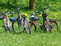 Radtouren in der Niederelberegion