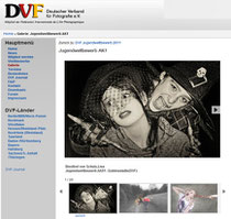 Galerien online auf der DVF Seite