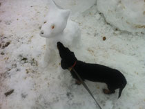 Aika und der Schneehund