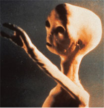 Most "Super 8 Spielbergs" aimed for the stars!