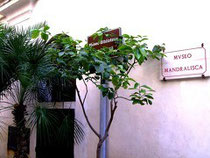 Museo mandralisca