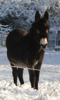 Pretty dans la neige