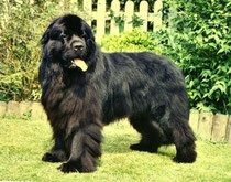 George