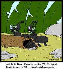 Ants at a picnic with Orlando DJ company Marc Burgess Productions