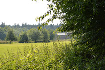 Natur - Entpannung - Inspiration.
