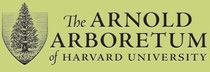 The Arnold Arboretum of Harvard University.