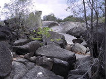 Granit Gorge in Mareeba