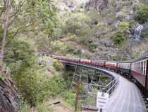 Der Zug fährt über eine Brücke im Regenwald