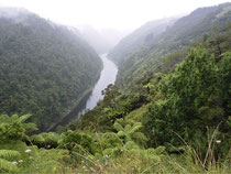Das Wanganui River Tal