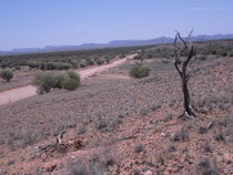 schöne Aussicht über die West McDonnell Ranges