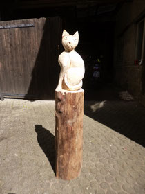 Katze oder Tiger?
