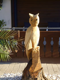 Eule