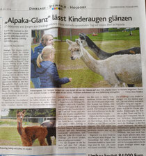 Aus der OV (Oldenburgische Volkszeitung) am 18.7.2019