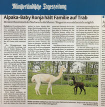 Oh unsere kleine Ronja hat es in die Zeitung geschafft! Hier ein kleiner Bericht über ihre ersten Trinkversuche (MT 12.5.2020)