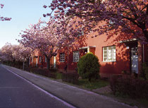 Hufeisensiedlung Onkel-Bräsig-Straße