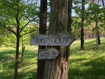 Historic Directional Sign on the Property