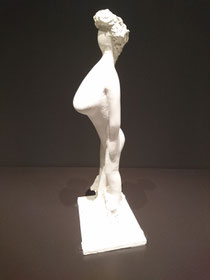 1904: "the shelf-like overhanging mono-bosom", die Regal-artige überhängende Mono-Brust